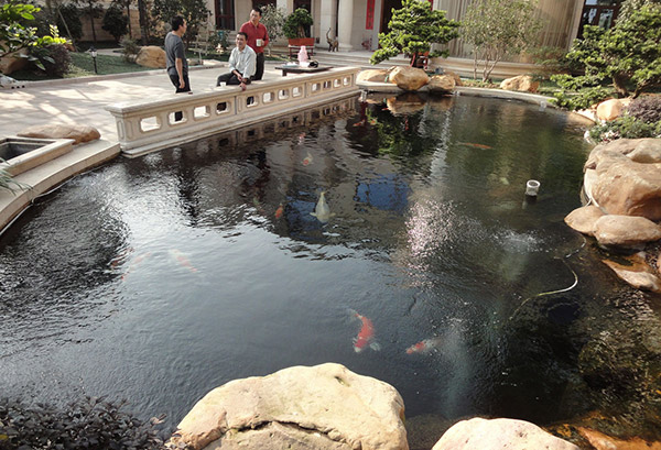 华体会-景观水治理-景观污水处理
